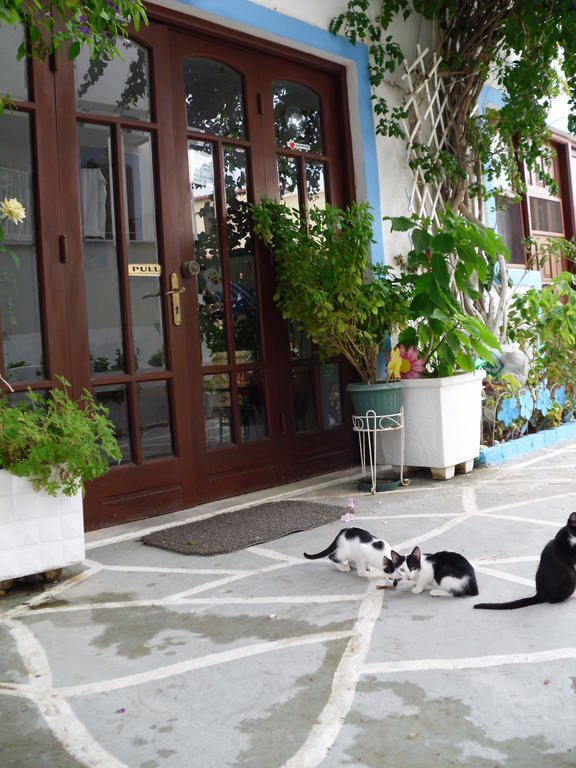 Mertonas Studios Karpathos Town  Exterior photo